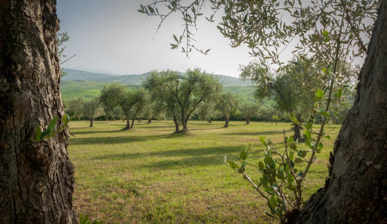 Holiday Home Arpicella Πιέντσα Εξωτερικό φωτογραφία